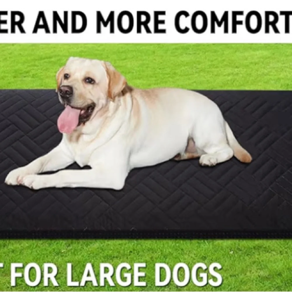 N/A veitail dog